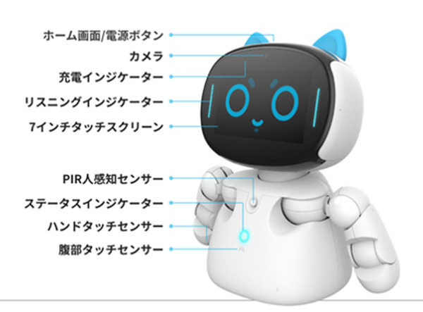 台湾で大人気のAIスマートロボット「Kebbi Air」が日本上陸　教育や医療分野での活用へ　NUWAロボティクスJapan
