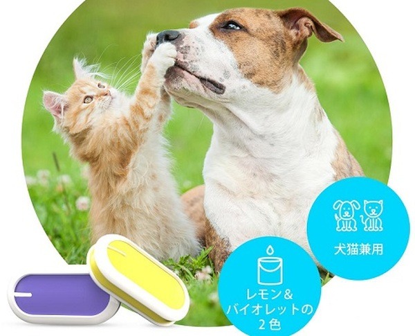 ペットの活動量を計測する「PETBLEスマートタグ」と餌を食べた量を計測する「PETBLEスマートボウル」を発売　+StyleのIoT製品