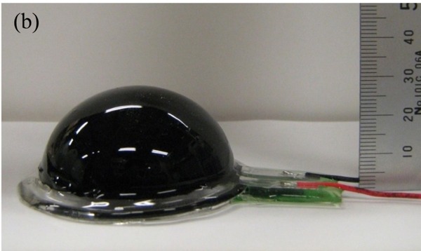 芝浦工業大学が人工筋肉を高速振動させたスピーカーを開発　球形で全方位に響く　ソフトロボットなどへの応用も