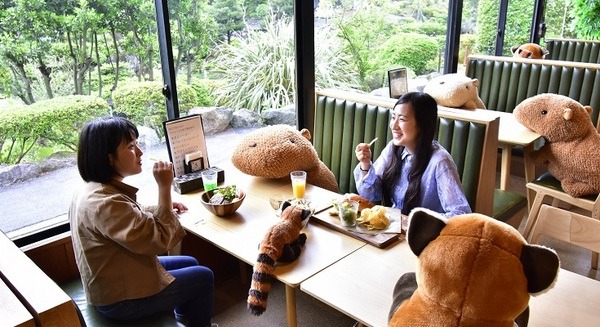 カピバラやレッサーパンダとの相席でソーシャルディスタンス、離れる目安はカピバラ2頭分で！伊豆シャボテン動物公園