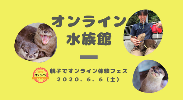 高知県の桂浜水族館「オンライン水族館」を出展へ　カワウソに餌やり　日本最大級の親子向け「親子でオンライン体験フェス」