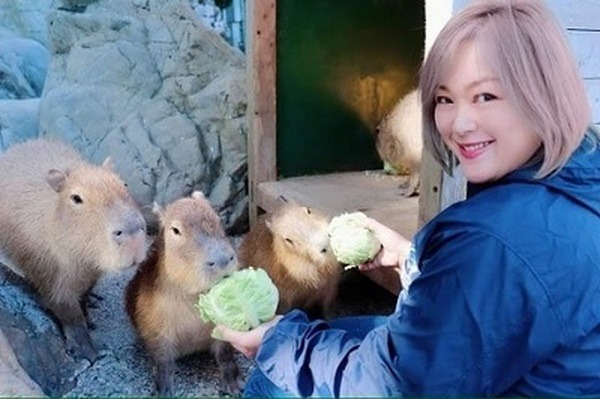 高知県の桂浜水族館「オンライン水族館」を出展へ　カワウソに餌やり　日本最大級の親子向け「親子でオンライン体験フェス」