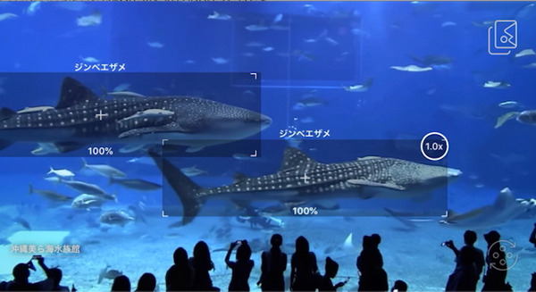 <p>シェア 0 ツイート 0 はてブ 0</p>