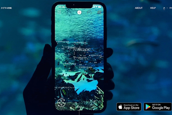 スマホをかざすAI図鑑アプリ「LINNÉ LENS」が美ら海水族館で使い放題に　マクセル アクアパーク品川など水族館や動物園で利用可
