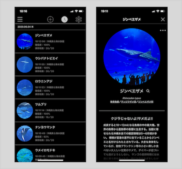 スマホをかざすAI図鑑アプリ「LINNÉ LENS」が美ら海水族館で使い放題に　マクセル アクアパーク品川など水族館や動物園で利用可