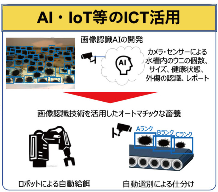 【世界初】NTT東日本がICTでウニづくり　ウニノミクスと陸上畜養トータルソリューション構築に向けた共同実験協定締結