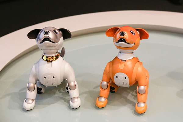 ソニー「aibo」とのハッピーライフをオトクに始められるキャンペーン　本体の保証/aibo用おもちゃ/ケア用品セットなど