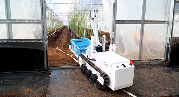 自動野菜収穫ロボットが日本の農業の課題を解決！inahoが3種の実証事業・補助金プロジェクトに採択
