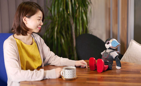 ロボユニがロボット本体と公式ウェアのレンタルサービス「ROMOTTO」を開始　一般ユーザーと法人ともに対象