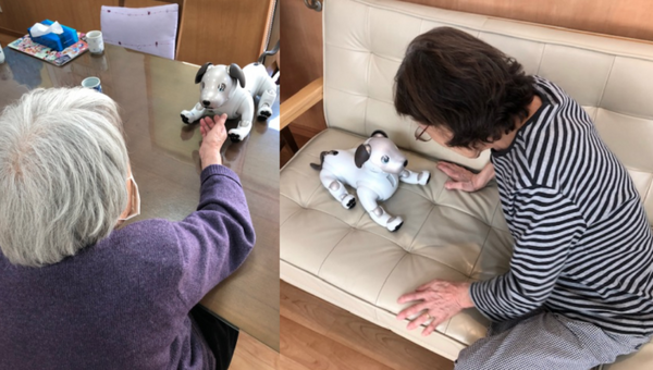 ロボユニがロボット本体と公式ウェアのレンタルサービス「ROMOTTO」を開始　一般ユーザーと法人ともに対象