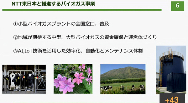 NTT東日本がバイオマスの新会社「ビオストック」設立　畜産・酪農で地域循環型エコシステム構築へ　バイオマスリサーチと合弁
