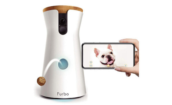 AIを活用した愛犬見守り用サブスクサービス「Furboドッグシッター」鳴き声や異常の検知、人物検出など　500頭以上の愛犬の命を救う