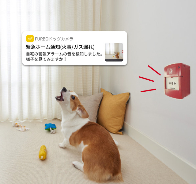 AIを活用した愛犬見守り用サブスクサービス「Furboドッグシッター」鳴き声や異常の検知、人物検出など　500頭以上の愛犬の命を救う