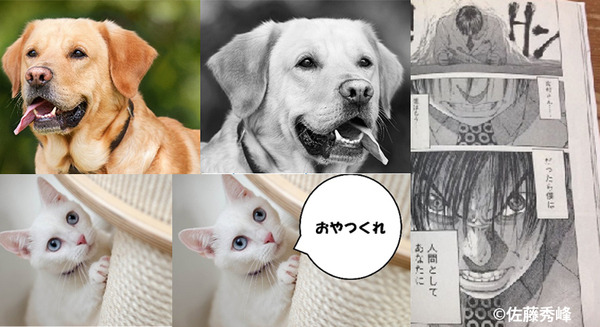 <p>シェア 0 ツイート 0 はてブ 0</p>