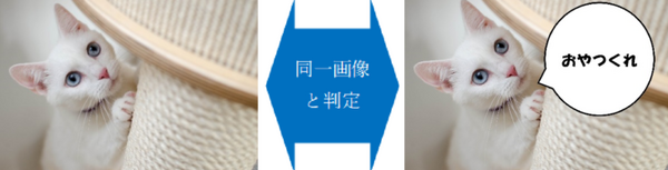 ネットに掲載された画像をAIが自動解析　著作権侵害抑止サービス「RighTect」 スマホで撮った写真や加工した画像も判定