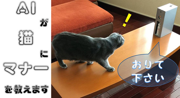 <p>シェア 0 ツイート 0 はてブ 0</p>