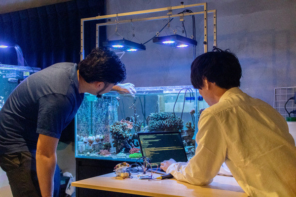東京オフィスビルで久米島のサンゴの人工抱卵を実現　世界初のIoT活用で時期制御した人工産卵へ　東大発ベンチャーのイノカが発表