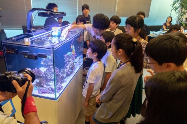 東京オフィスビルで久米島のサンゴの人工抱卵を実現　世界初のIoT活用で時期制御した人工産卵へ　東大発ベンチャーのイノカが発表