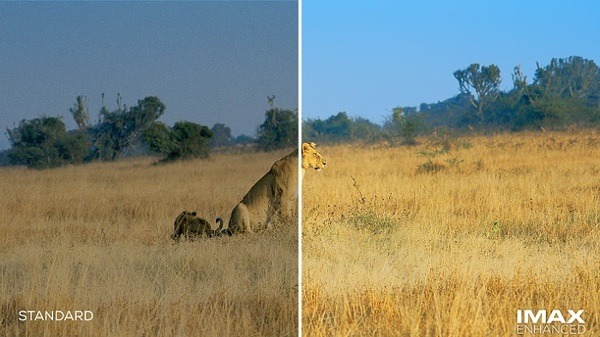 いつものリビングでIMAX体験を！日本初のIMAX Enhanced体験ブースが蔦屋家電に登場　8/7～9/7　記念グッズが先着でもらえる
