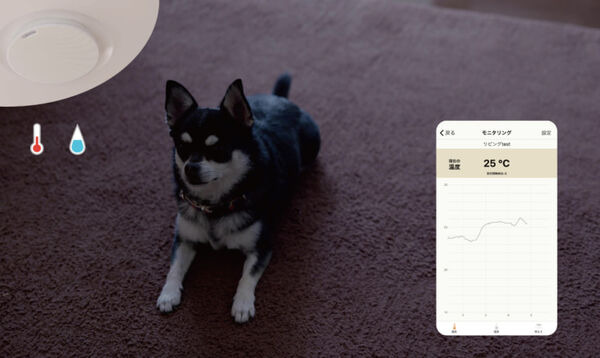 多彩な機能を搭載したソニーのネットワークLEDシーリングライトにハイエンドモデル登場「MFL-2000S」 家電量販店で予約開始