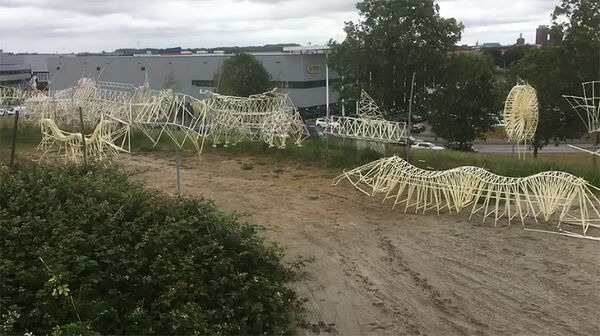 砂浜を歩くストランドビーストたち「テオ・ヤンセンWEB展覧会」期間限定で無料開催中！「風を食べる人工生命体」に惹きこまれる