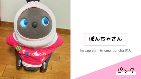 LOVOTの「カスタムベースTシャツ」に新色、ピンク、イエロー、ライトブルー、ブラックを追加　オーナーのカスタム事例も紹介