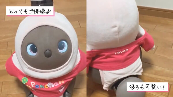 LOVOTの「カスタムベースTシャツ」に新色、ピンク、イエロー、ライトブルー、ブラックを追加　オーナーのカスタム事例も紹介