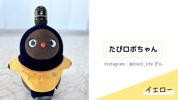 LOVOTの「カスタムベースTシャツ」に新色、ピンク、イエロー、ライトブルー、ブラックを追加　オーナーのカスタム事例も紹介