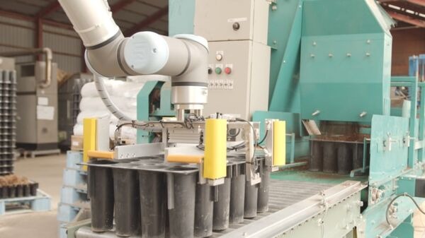 十勝で70年苗木を生産する大坂林業が協業ロボット「UR10e」を導入　苗木植えつけ作業をロボットで自動化、省力化