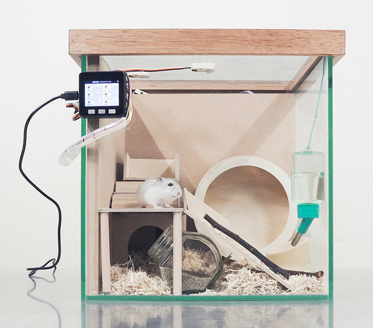 パナソニックが「小動物ヘルスケアデバイス」のレシピを公開！センサーでハムスターや小鳥の健康管理、電子工作のDIY体験