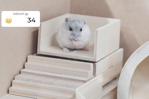 パナソニックが「小動物ヘルスケアデバイス」のレシピを公開！センサーでハムスターや小鳥の健康管理、電子工作のDIY体験