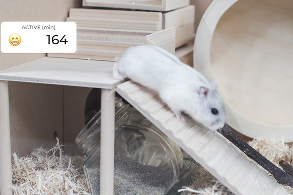 パナソニックが「小動物ヘルスケアデバイス」のレシピを公開！センサーでハムスターや小鳥の健康管理、電子工作のDIY体験