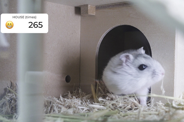 パナソニックが「小動物ヘルスケアデバイス」のレシピを公開！センサーでハムスターや小鳥の健康管理、電子工作のDIY体験