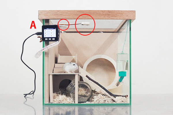 パナソニックが「小動物ヘルスケアデバイス」のレシピを公開！センサーでハムスターや小鳥の健康管理、電子工作のDIY体験