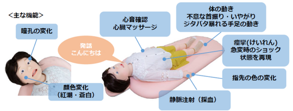 小児患者の動きをリアルに再現できるロボット「ペディアロイド」テムザックが開発 福岡歯科大学が先行導入