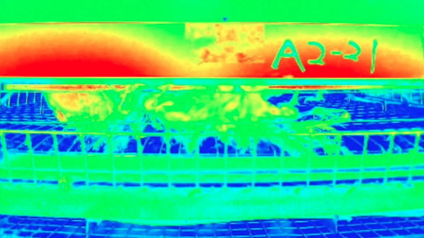 ロボットが採卵鶏舎内を自律巡回し死亡鶏を早期発見 検出率は93%「自律走行型ケージ監視システム」センシンと大豊産業が共同開発