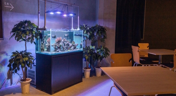 <p>シェア 0 ツイート 0 はてブ 0</p>