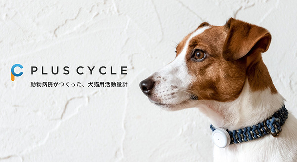 動物病院がつくった犬猫ペット用 IoT活動量計「プラスサイクル」新モデル発表　負担の少ないデザイン　データ同期等のアプリ改善も