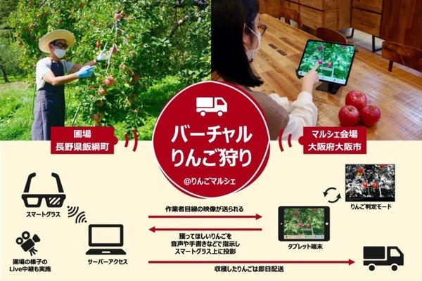 スマートグラスを活用した「バーチャルりんご狩り」Osaka Food Labの「りんごマルシェ」で開催