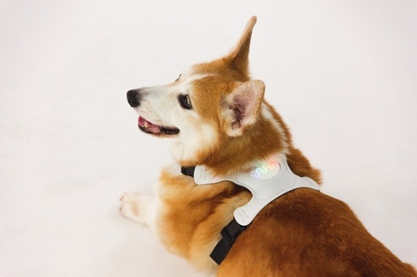 未来の暮らし×テクノロジーを体感できる『暮らしとテクノロジー展』二子玉川 蔦屋家電 1階 Tech Frontで開催 11/29まで