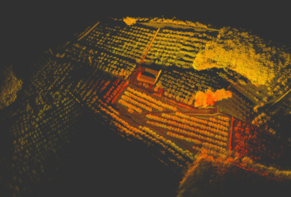 SMHD、ソミック石川 果樹園用の自律走行ロボット開発で名古屋大学発ベンチャー マップフォーと提携