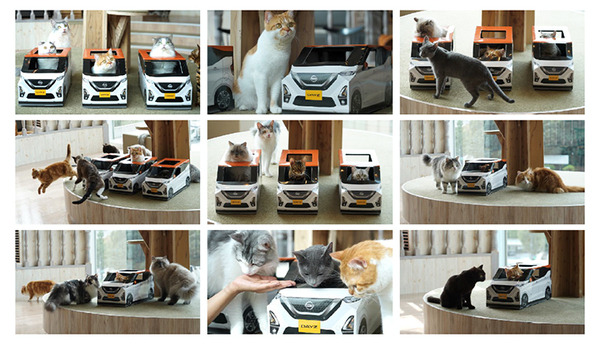 【可愛い】ねこ用日産軽自動車「にゃっさんデイズ」ってなに? 日産の先進技術動画がねこ様一色に!?　猫カフェ「MOCHA」とコラボ企画も