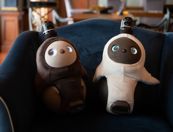 今年のクリスマスも『LOVOT』とウェステンホテル東京がコラボ　売上の一部は「ドナルド・マクドナルド・ハウス」へ寄付