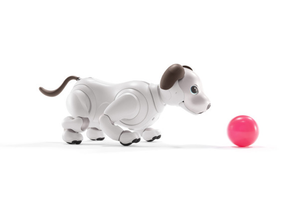 オリックス・レンテックが「aibo」(アイボ)の法人向けレンタルサービスを開始　プログラミング教育など、幅広い利活用を支援