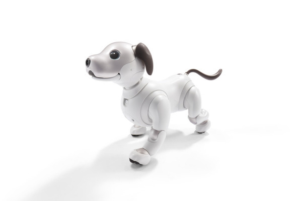 オリックス・レンテックが「aibo」(アイボ)の法人向けレンタルサービスを開始　プログラミング教育など、幅広い利活用を支援