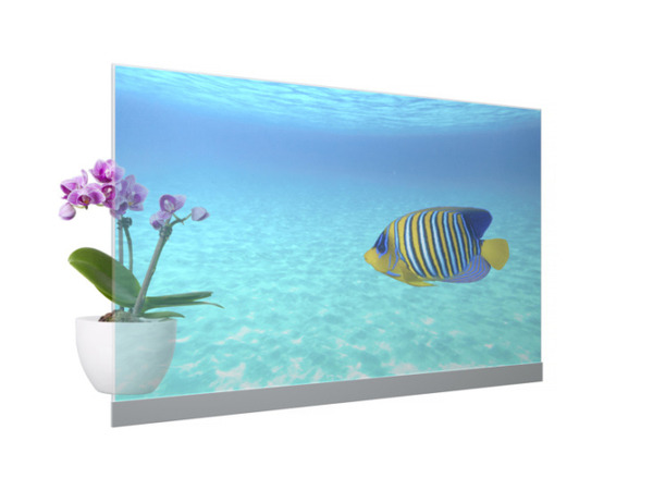 パナソニックが55V型の透明有機ELディスプレイモジュールを商品化 厚さは1cm未満 高い透明性と色鮮やかな高画質映像を実現