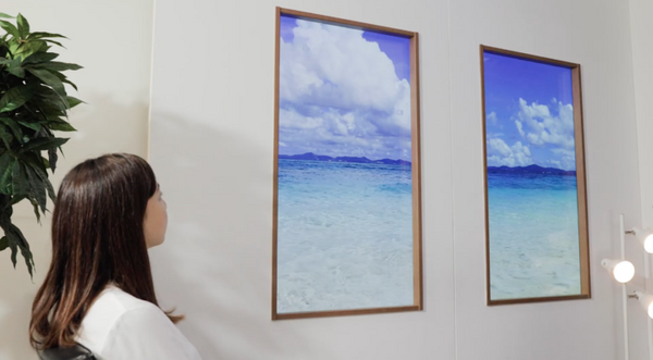 パナソニックが55V型の透明有機ELディスプレイモジュールを商品化 厚さは1cm未満 高い透明性と色鮮やかな高画質映像を実現