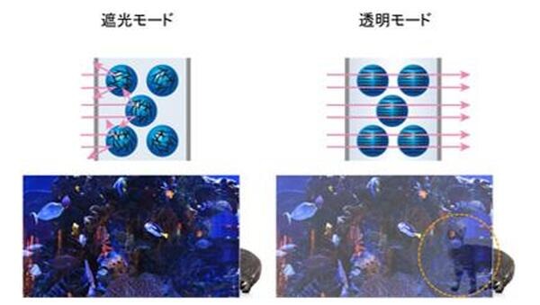 パナソニックが55V型の透明有機ELディスプレイモジュールを商品化 厚さは1cm未満 高い透明性と色鮮やかな高画質映像を実現