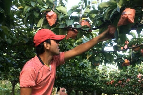 農産物を新幹線で輸送「ロボットで生産者と繫がる次世代マルシェ」高輪ゲートウェイ駅で開催 12/5-6