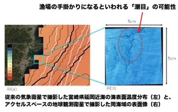 衛星画像や海水温などを照合して豊漁の手掛かりを抽出　アクセルスペース、オーシャンアイズ、京セラが高精度漁場予測の実用化へ